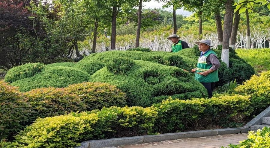 聊城市城市园林管理服务中心绿化取水点项目水资源论证
