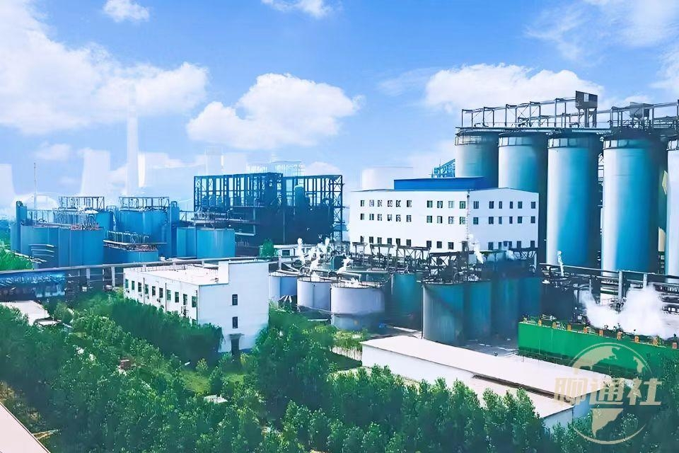 山东铝业有限公司氯碱装置节能技术改造项目环境影响评价